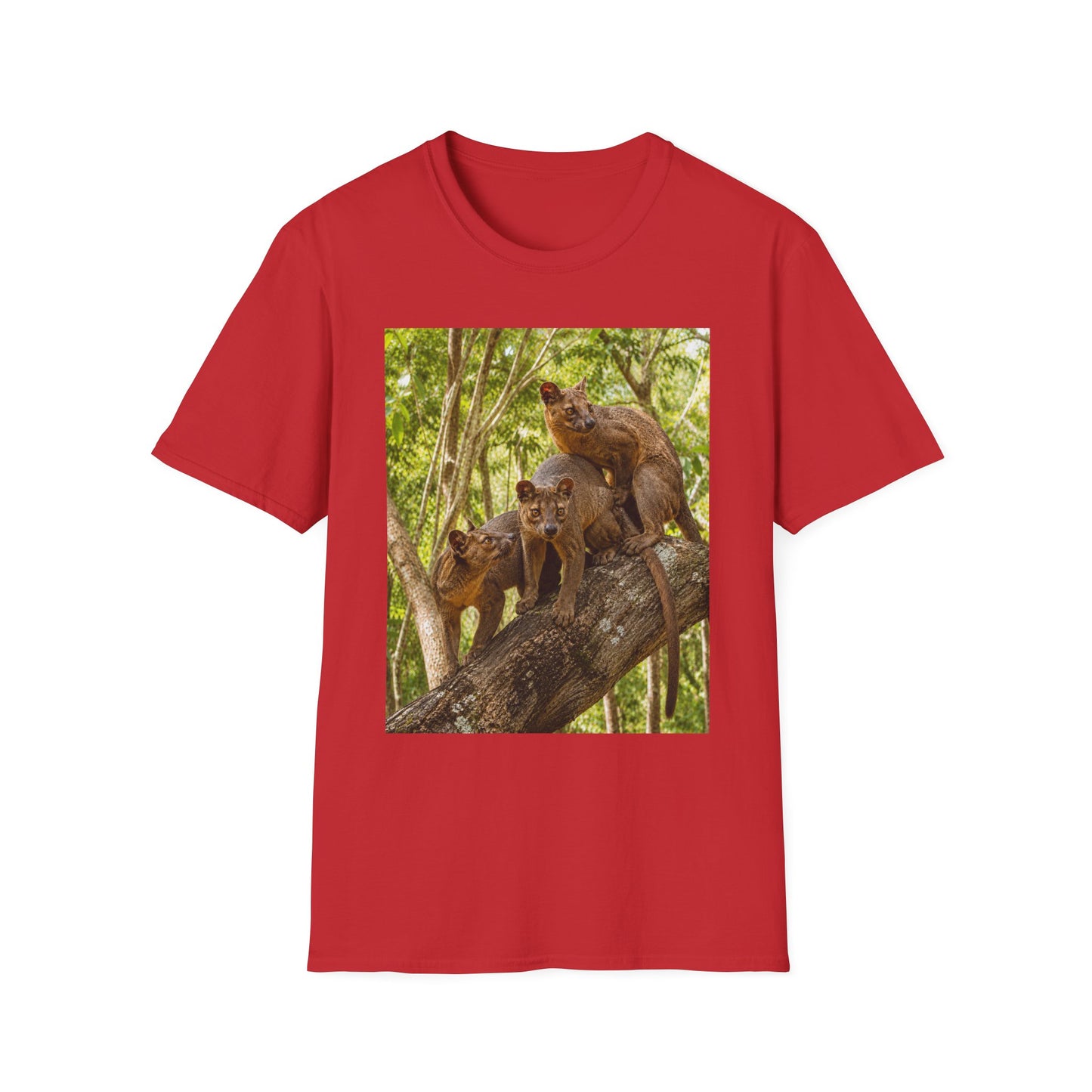 Adult Fossa Trio T-Shirt — Madagascar Wildlife Graphic Tee