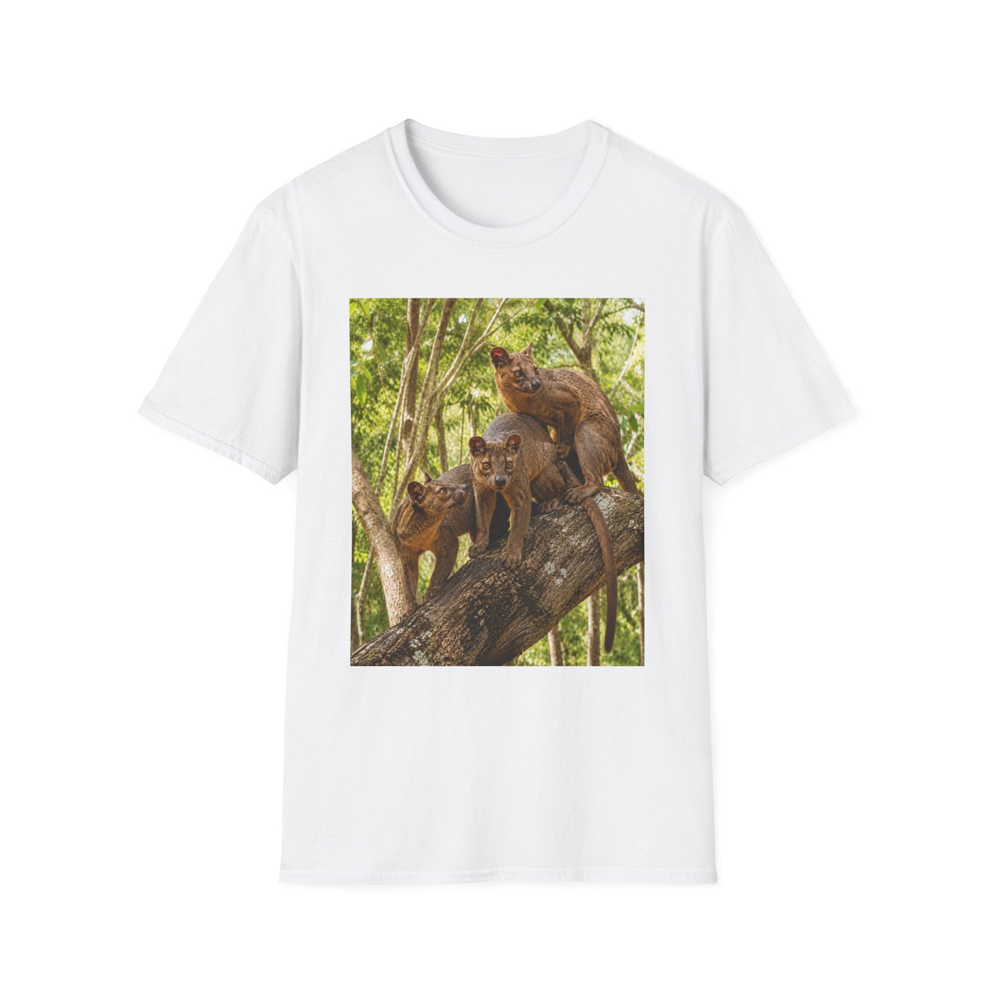Adult Fossa Trio T-Shirt — Madagascar Wildlife Graphic Tee