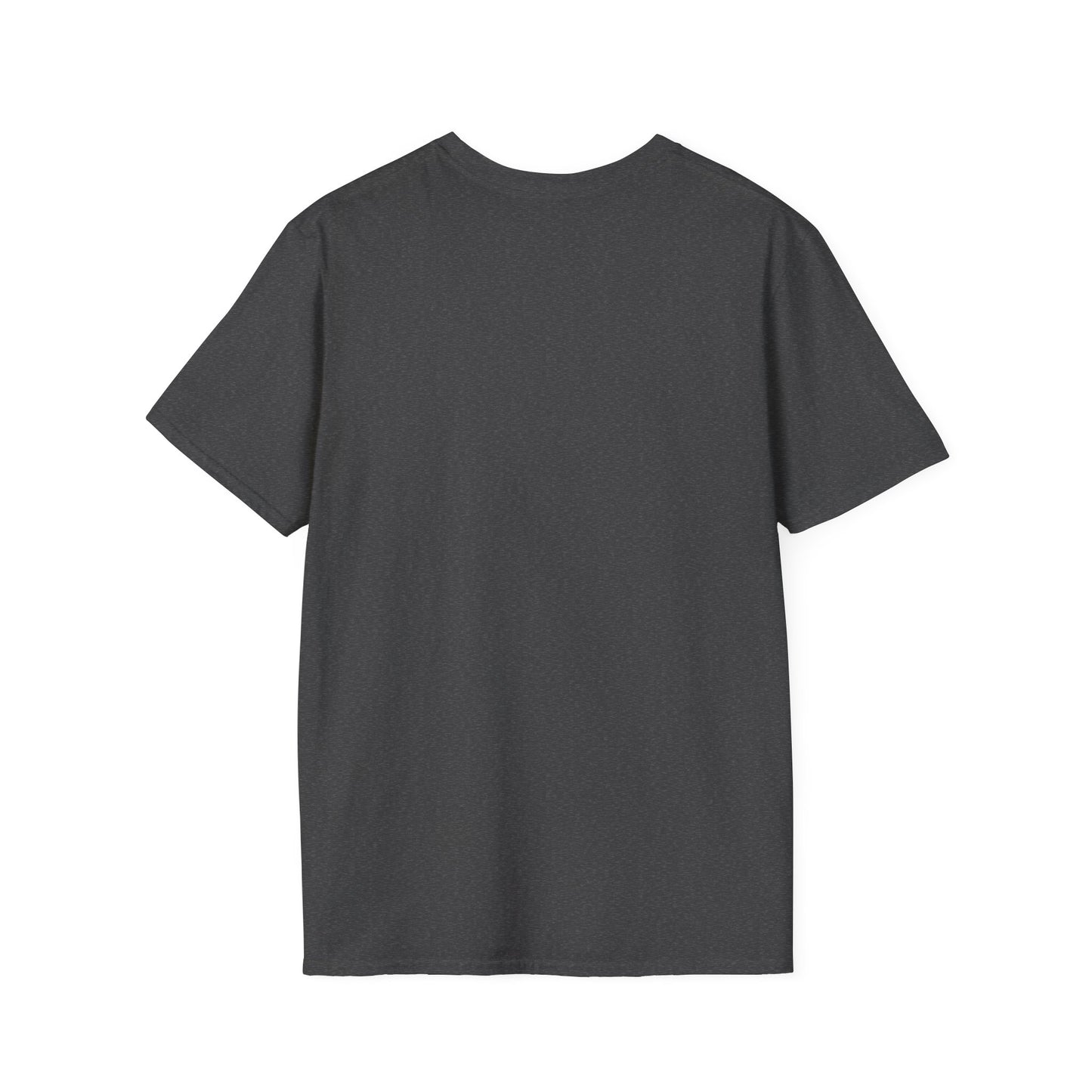 Lion and Zebra Sunset T-Shirt — African Safari Wildlife Graphic Tee